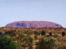 Ayres Rock